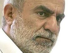 کمالی: دولت باید از منافع ملی دفاع کند