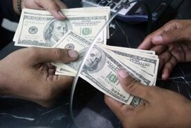 تشکیل پرونده قضایی برای اخلال گران ارز و نهاده های دامی 