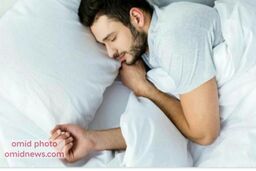 تنبل ها مبتلا به آلزایمر می شوند