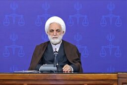 مقاومت اسلامی نه تنها حذف نشد بلکه مشهورتر شد