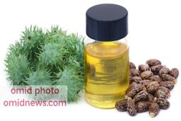 10 خاصیت شگفت انگیز روغن کرچک که نمیدانستید  