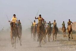 شترسواری یک بازی شاد در جشن ها