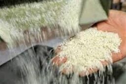 جدیدترین اظهارات درباره سلامت برنج‌ ایرانی