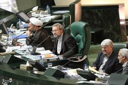 لاریجانی: از اظهارنظر نعمت زاده درباره سهم تولید از هدفمندی یارانه ها نگرانیم