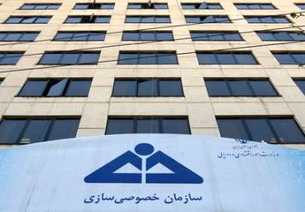 باشگاههای ورزشی دولتی خصوصی می شوند