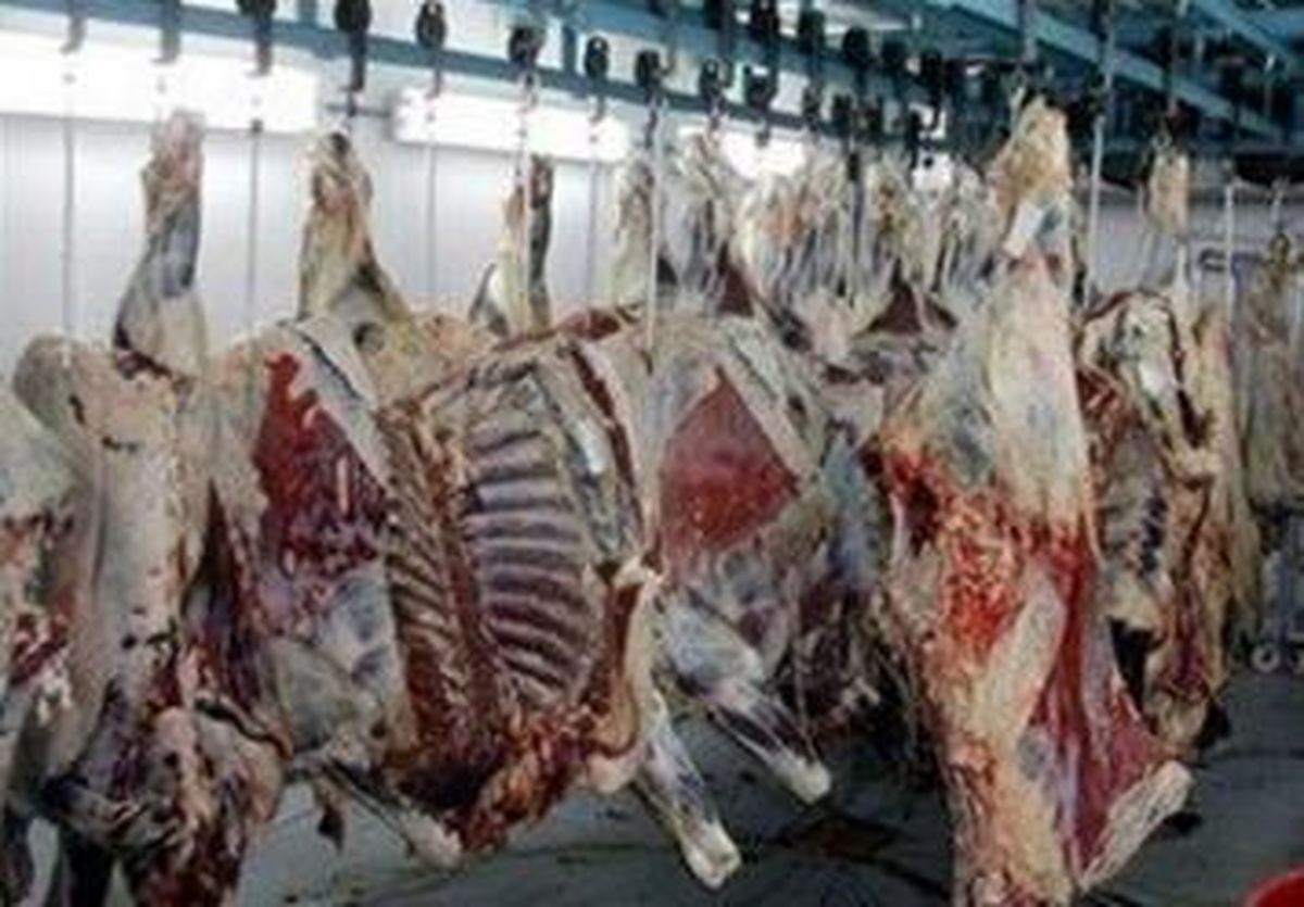 ثبات دو ماهه قیمت گوشت گوسفند و خلوت شدن قصابی ها پس از نوروز