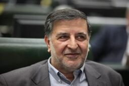 یوسفیان: بدهکاران کلان در سیستم بانکی نفوذ بالایی دارند