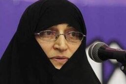 جزئیات جلسه امروز اعضای فراکسیون زنان مجلس با معاون امور زنان رئیس جمهور