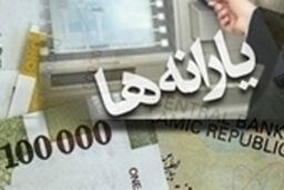 از گرفتن یارانه انصراف دهید، وگرنه جریمه می شوید
