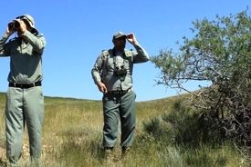 تا ۶۰ درصد پست‌های محیطبانی خالیست