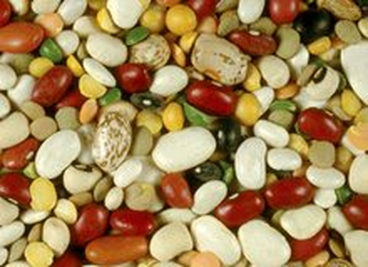 " حبوبات " در بازار امروز چند؟ + جدول