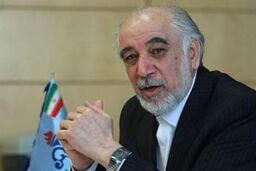 شرکت های پتروشیمی شیطنت کنند جلوی صادراتشان را می گیریم