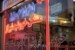 افزایش ۱۹ درصدی فروش و ۱۸.۳ درصدی اجاره مسکن