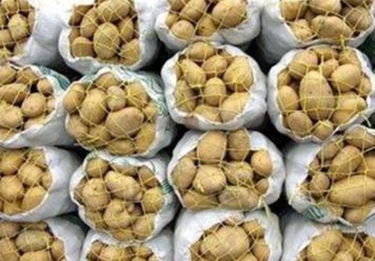 سیب زمینی رکورد ۴۰۰۰ تومان را هم زد