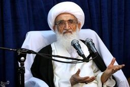اعضای جامعه مدرسین حوزه علمیه قم با آیت الله نوری همدانی دیدار کردند