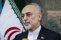علی اکبر صالحی: آژانس نباید ابزار مکمل برای سرویس‌های جاسوسی کشورها باشد
