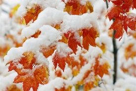 هواشناسی؛ برف و باران در 23 استان/ هشدار نارنجی برای 17 استان