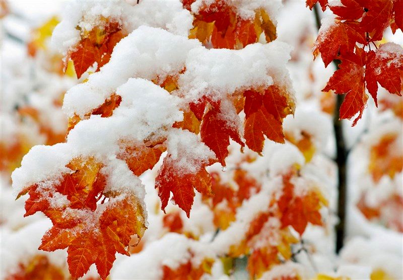 هواشناسی؛ برف و باران در 23 استان/ هشدار نارنجی برای 17 استان