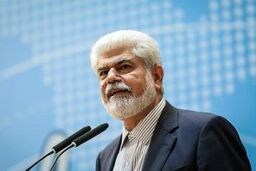 شهریاری: دستگاه دیپلماسی درباره گروگان گیری مرزبانان بسیار بد عمل کرد