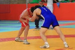 یک طلا و دو برنز ایران حاصل کار نمایندگان ایران در روز سوم