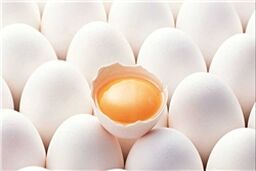 درج قیمت روی تخم‌مرغ