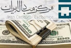 دلار مرکزمبادله از 114 هزار تومان عبور کرد