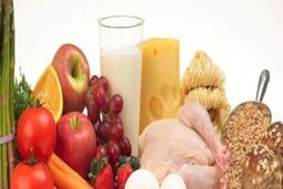رژیم غذایی زنان ورزشکار چطور باشد؟