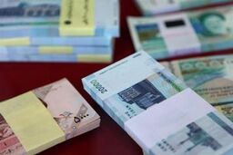 بانک مرکزی: ۶۱نفر بالای ۱۰۰میلیارد و ۱۱۲نفر بین ۵۰ تا ۱۰۰میلیارد تومان بدهی معوق دارند
