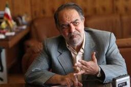 ترکان: در انتخابات ۸۸ تخلف بود اما تقلب نه
