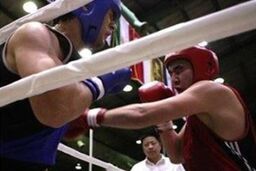 احدی: از سر اجبار برخی ها را به اردوی تیم ملی بوکس دعوت کردم