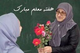 نمی توان دولت را مجبور به ارائه لایحه رتبه بندی معلمان کرد