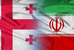 سفیر جدید گرجستان استوارنامه خود را تقدیم ظریف کرد