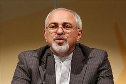 ظریف وارد تهران شد
