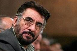 من نقشی در برپایی تظاهرات عفاف و حجاب نداشتم