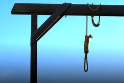 
حکم اعدام عامل شهادت شهید رضایی اجرا شد
