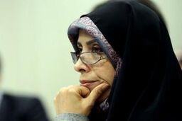 امین زاده: مدت مرخصی زایمان دوباره در دولت بررسی می شود