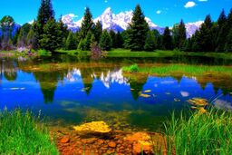 گلچینی از طبیعت وصف نشدنی سیاره زندگی / فیلم
