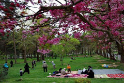 فراغت و تفریح به سبک آدم سالم ها