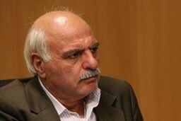 دولت تاکنون برای توزیع سبد کالا از اصناف کمک نخواسته است