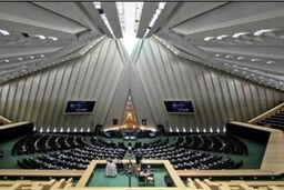 گلایه نمایندگان از کم توجهی دولتی ها به خشک سالی در مناطق مختلف کشور