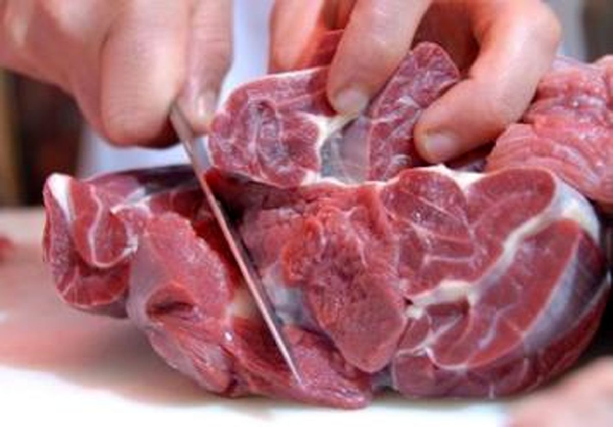 مصرف گوشت گاو موجب فراموشی می شود