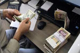 بانک مرکزی نرخ ۳۹ ارز بانکی را ثابت نگه داشت